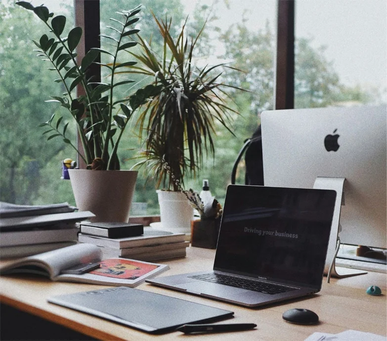 Un escritorio con una computadora portátil y una planta frente a una ventana, ideal para el teletrabajo